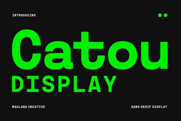 Catou: A Bold, Clean Display Font That Elevates Real Business Branding