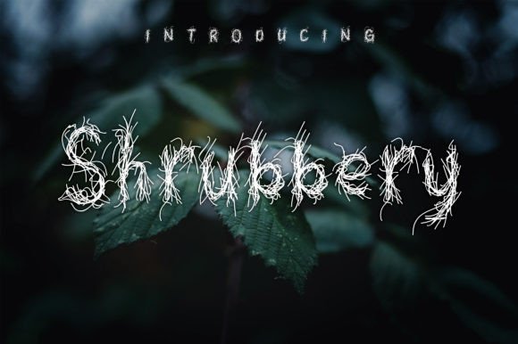 Shrubbery: A Display Font That Adds Whimsy & Polish to Your Brand